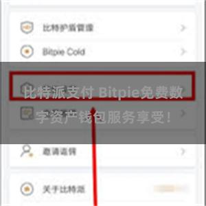 比特派支付 Bitpie免费数字资产钱包服务享受!