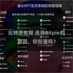 比特派教程 选择Bitpie的原因，你知道吗？