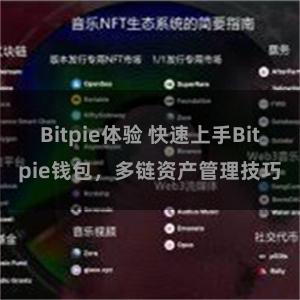 Bitpie体验 快速上手Bitpie钱包，多链资产管理技巧