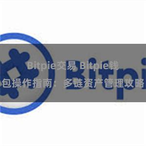 Bitpie交易 Bitpie钱包操作指南：多链资产管理攻略