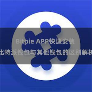 Bitpie APP快速安装 比特派钱包与其他钱包的区别解析