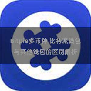 Bitpie多币种 比特派钱包与其他钱包的区别解析