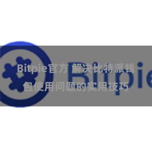 Bitpie官方 解决比特派钱包使用问题的实用技巧