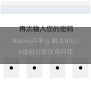 Bitpie跨平台 解决Bitpie钱包常见使用问题