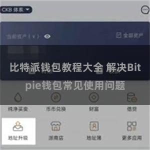 比特派钱包教程大全 解决Bitpie钱包常见使用问题