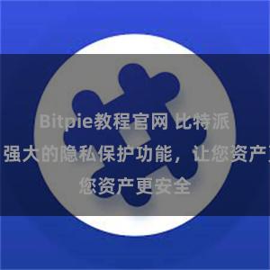 Bitpie教程官网 比特派钱包：强大的隐私保护功能，让您资产更安全