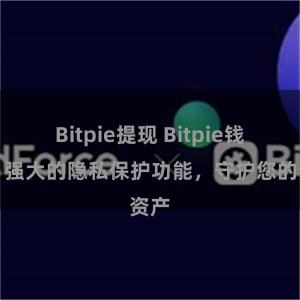 Bitpie提现 Bitpie钱包：强大的隐私保护功能，守护您的资产