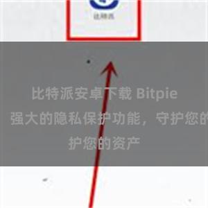 比特派安卓下载 Bitpie钱包：强大的隐私保护功能，守护您的资产