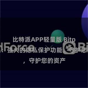 比特派APP轻量版 Bitpie钱包：强大的隐私保护功能，守护您的资产