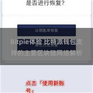 Bitpie体验 比特派钱包支持的主要区块链网络解析