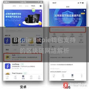 Bitpie Bitpie钱包支持的区块链网络解析