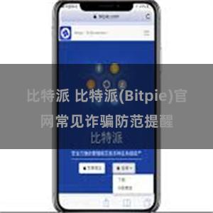 比特派 比特派(Bitpie)官网常见诈骗防范提醒