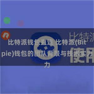 比特派钱包直连 比特派(Bitpie)钱包的团队背景与技术实力