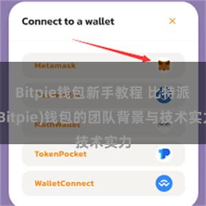 Bitpie钱包新手教程 比特派(Bitpie)钱包的团队背景与技术实力