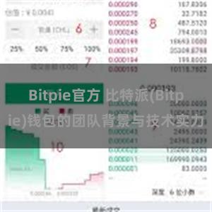 Bitpie官方 比特派(Bitpie)钱包的团队背景与技术实力