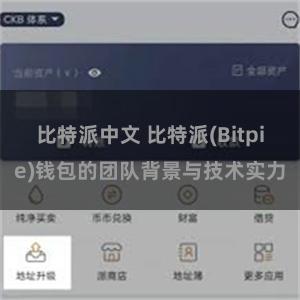 比特派中文 比特派(Bitpie)钱包的团队背景与技术实力