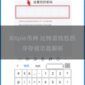 Bitpie币种 比特派钱包的冷存储功能解析