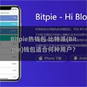 Bitpie热钱包 比特派(Bitpie)钱包适合何种用户？