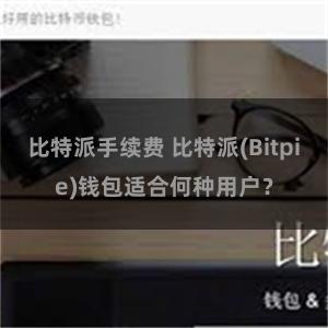 比特派手续费 比特派(Bitpie)钱包适合何种用户？