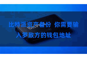 比特派资产备份  你需要输入罗致方的钱包地址